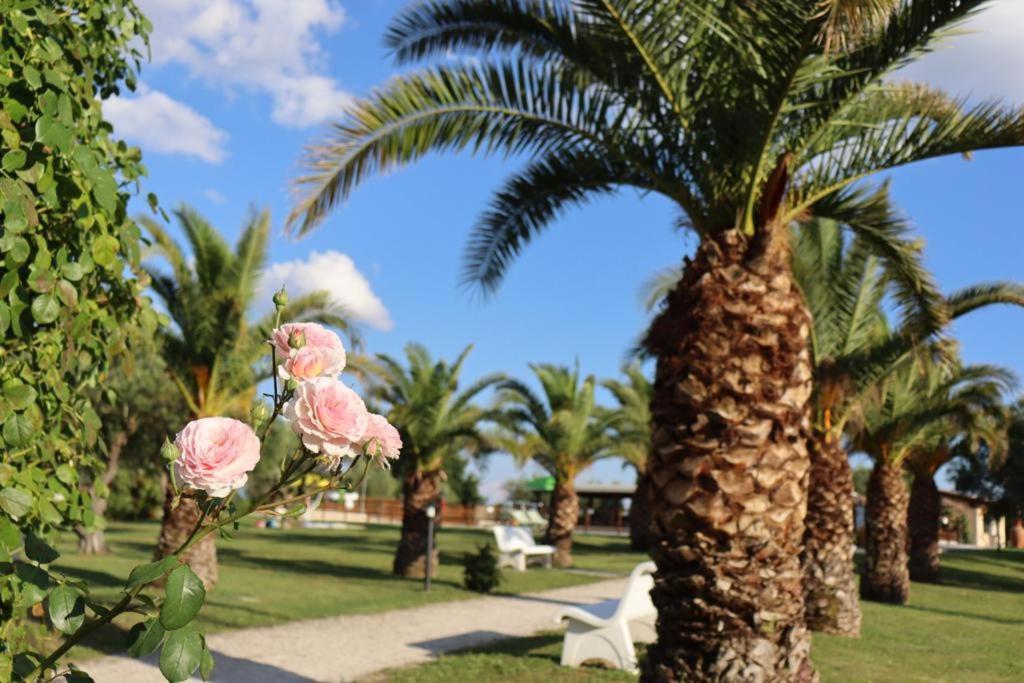 Agriturismo Il Casale Di Monica Rivotorto Exterior photo
